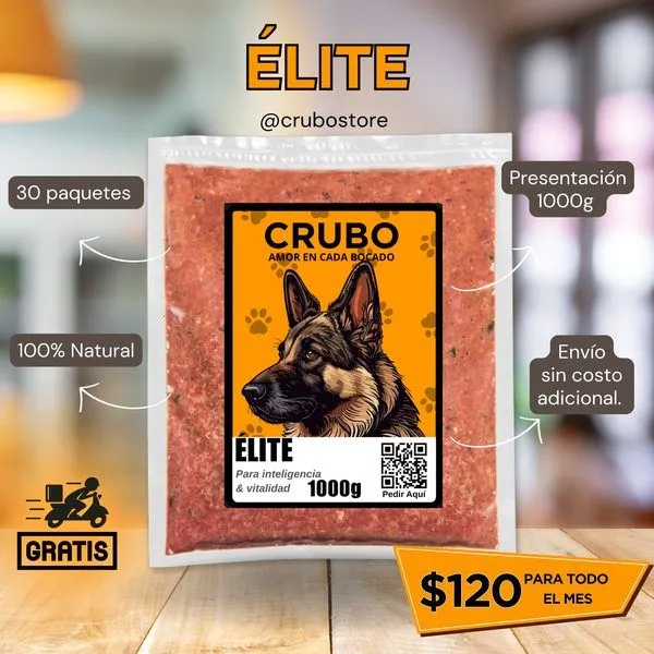 Mi perro solo comió pepas toda su vida: ¿puedo cambiarlo?